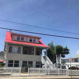 Mallard , Ocean City United States